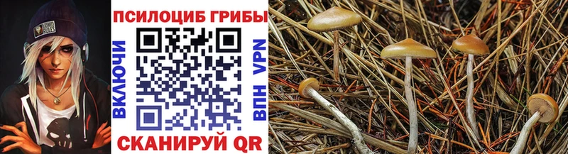 Галлюциногенные грибы мицелий  MEGA сайт  Инсар 